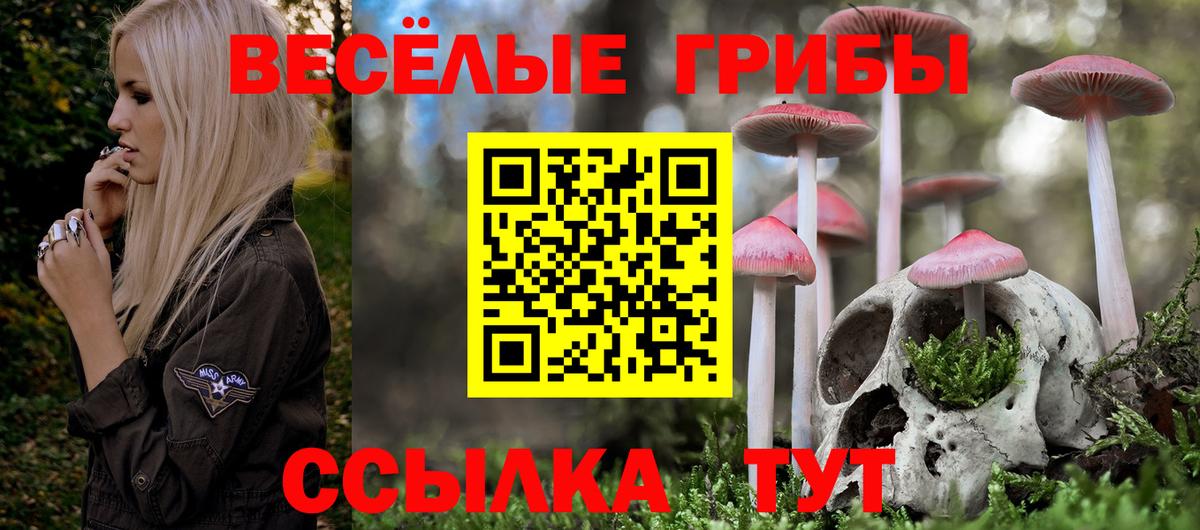Псилоцибиновые грибы прущие грибы Нижний Тагил