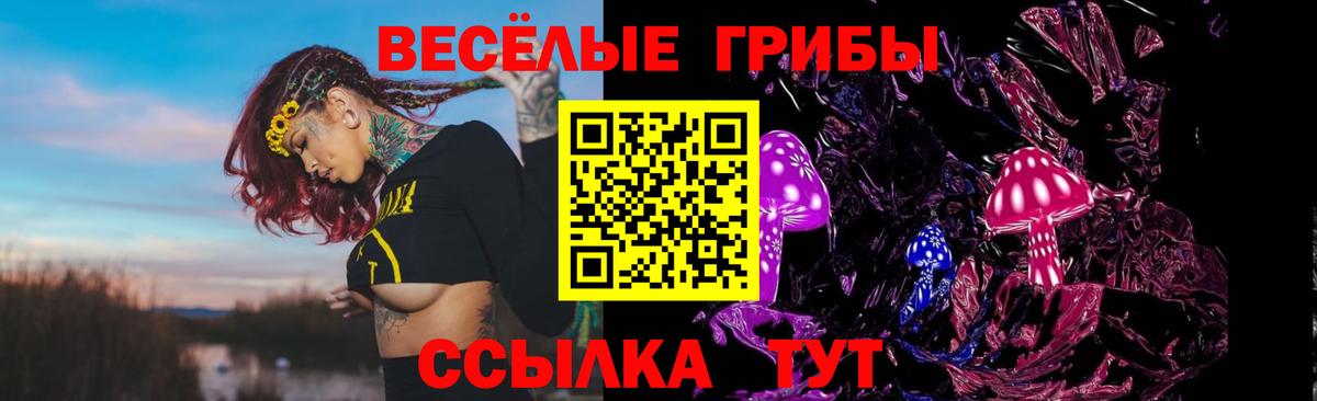 Нижний Тагил  Псилоцибиновые грибы Magic Shrooms  Вход с VPN 